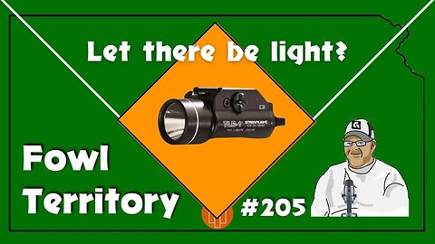Fowl Territory #205 - Let there be light?