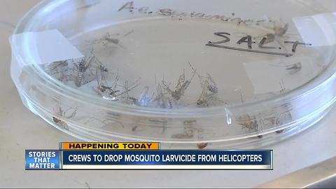 San Diego County crews begin mosquito larvicide-dropping process