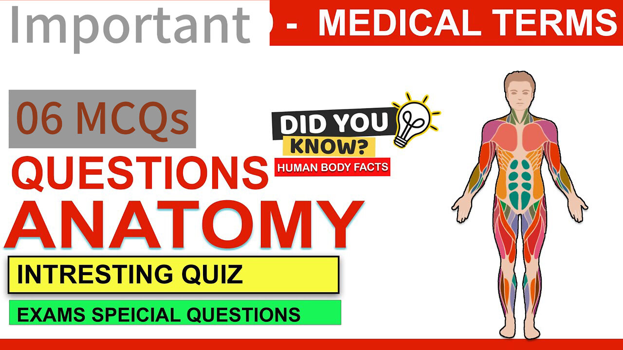 Test Your Knowledge! Human Anatomy MCQs | Quiz Yourself