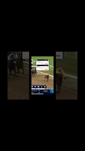 This Horse was +250 and Finished -167 Heres Why #sportsbettingpicks #sports #horseracing