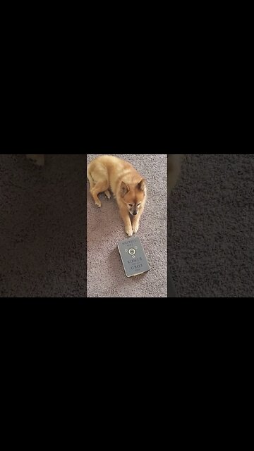 Todd is finally reading the classics with 'The Lord of the Rings.'