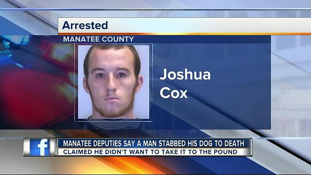 Bradenton man admits to stabbing dog to death