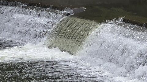 Humber River Salmon run High Jump Olympics