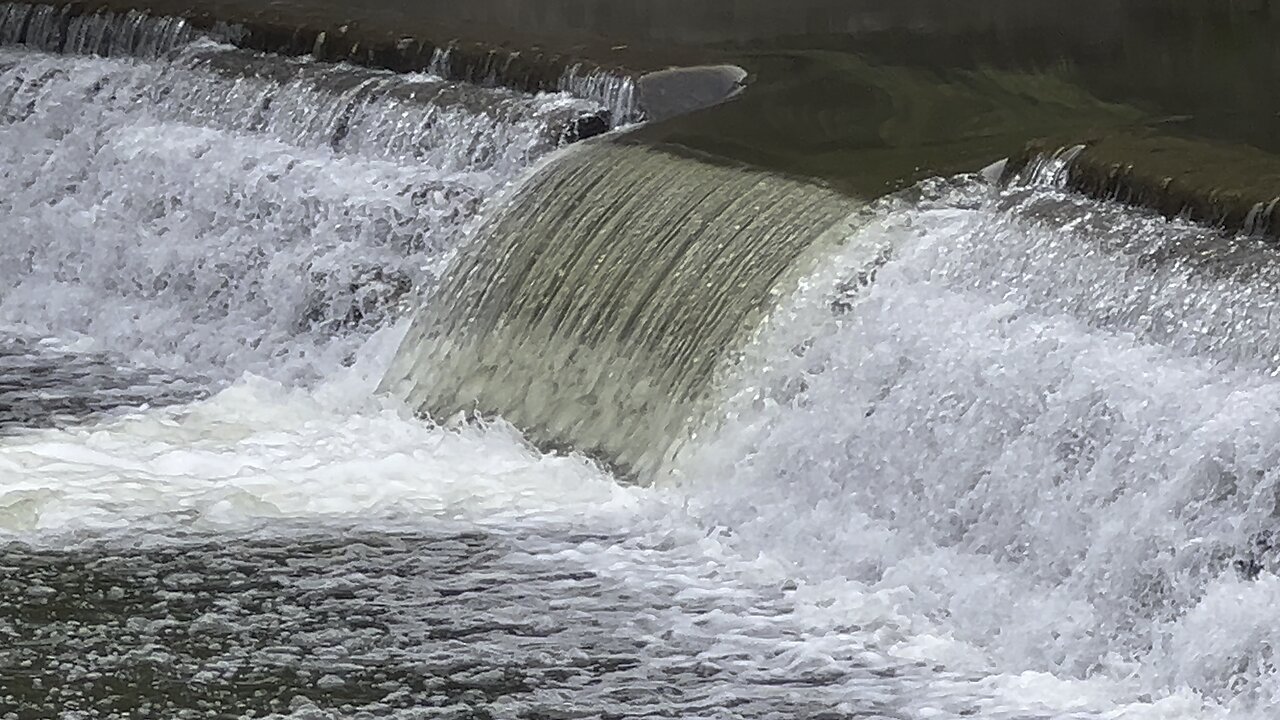 Humber River Salmon run High Jump Olympics