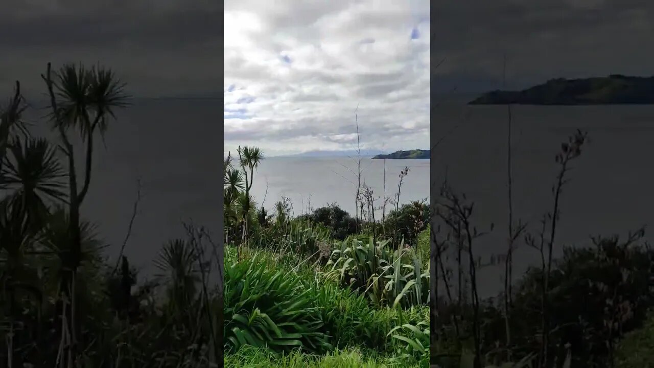 Hilltop view of Onetangi Beach