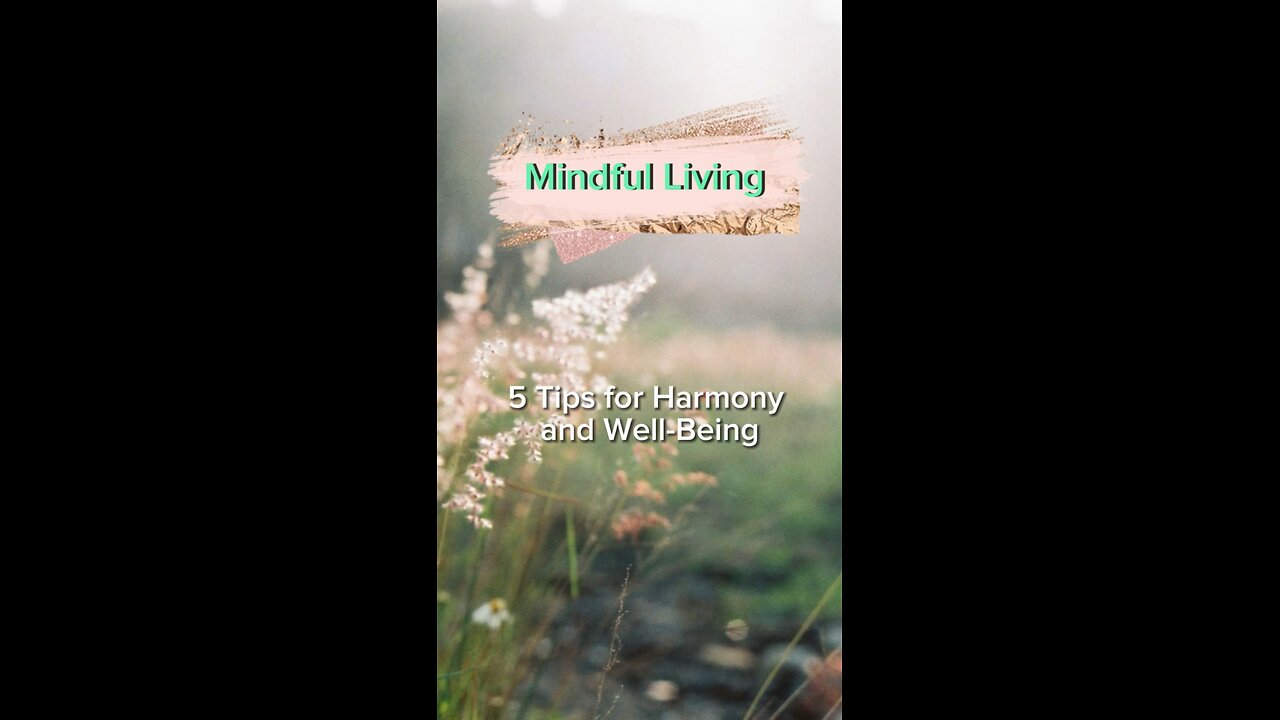 Part 1 Navigating Life Mindfully: 5 Tips for Harmony and Well-Being