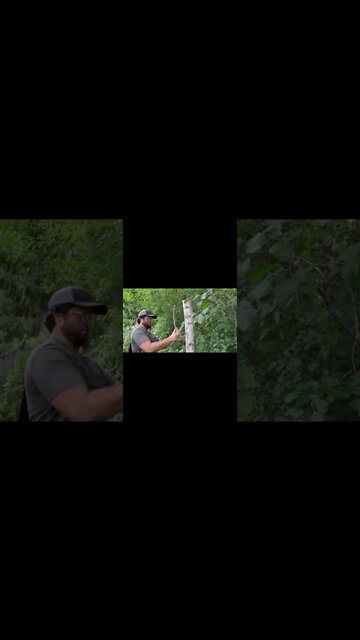 Subscribe To Make It Happen