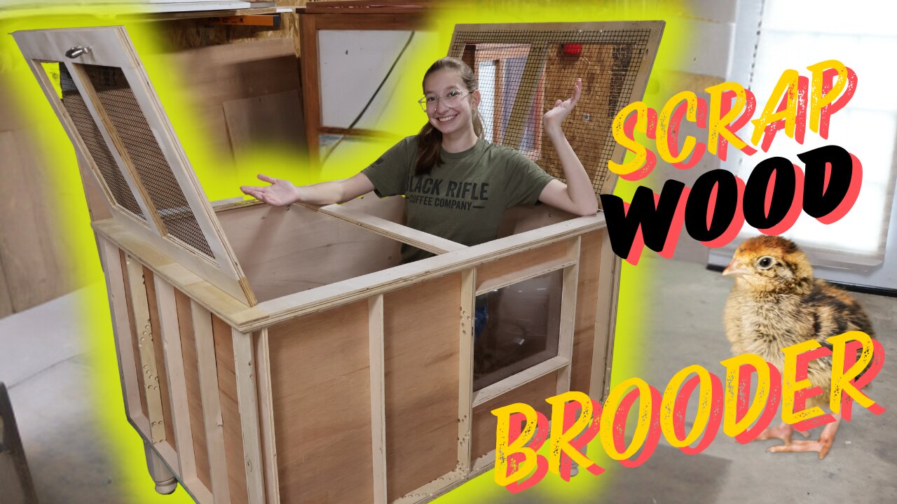 Scrape Wood Chicken Brooder | One Day Build