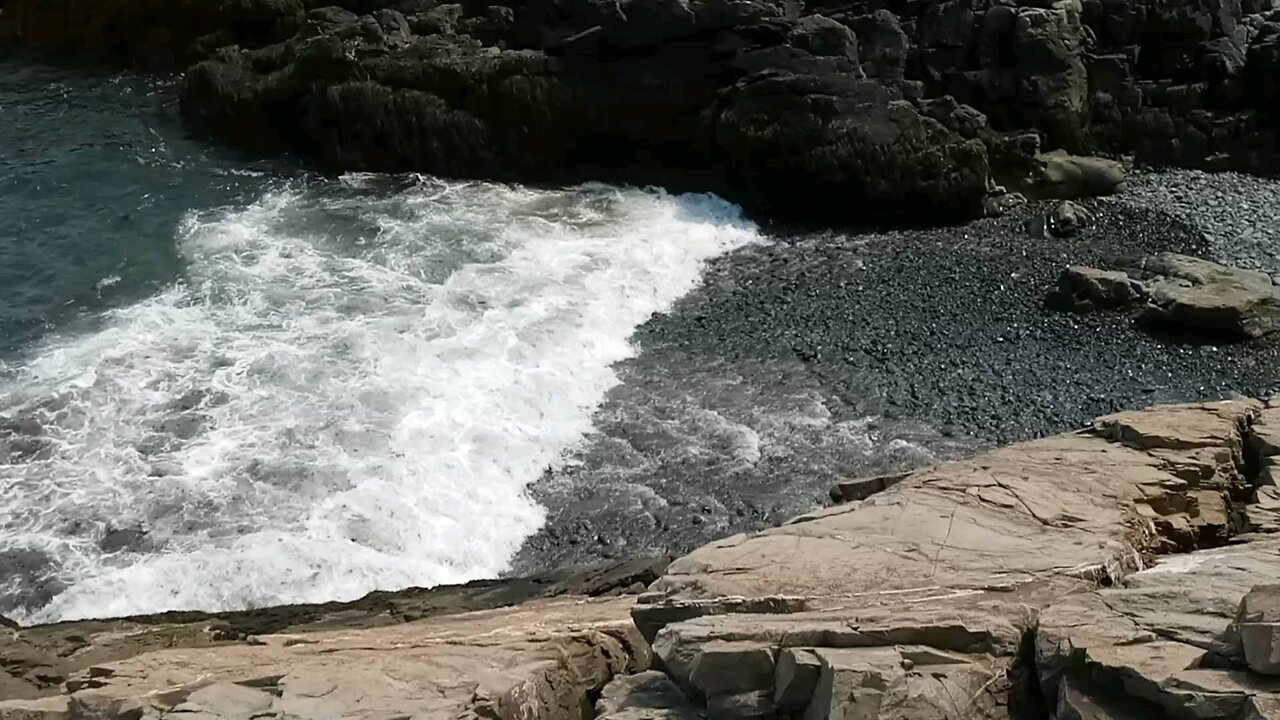 The Beach ⛱️🏖️⛱️🏖️