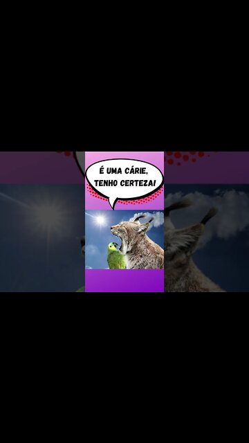 Gatos e seus memes parte 02 - some meme are funny - #shorts