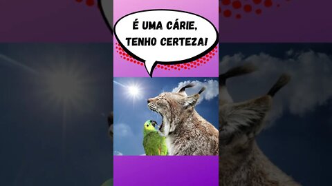 Gatos e seus memes parte 02 - some meme are funny - #shorts