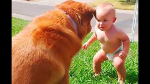 Baby Cute Funny Moments | Best of FUNNY BABIES | baby funny video | baby videos