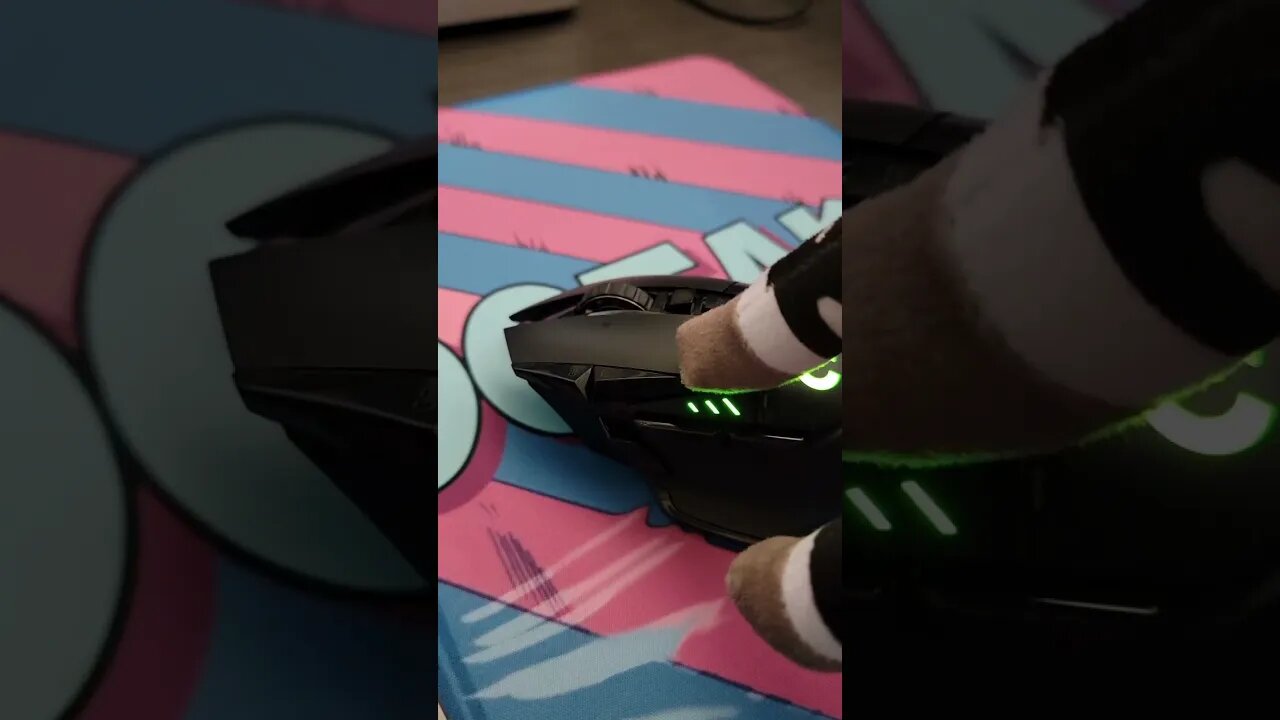 Just let Oscar do it #borzoi #TooTaku #reel #clip #short