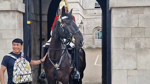 More rein grabbing Than The Royal family #horseguardsparade