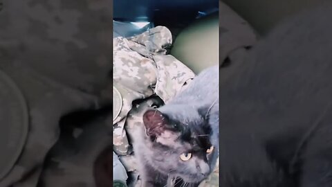 Ukrainian defenders #shorts