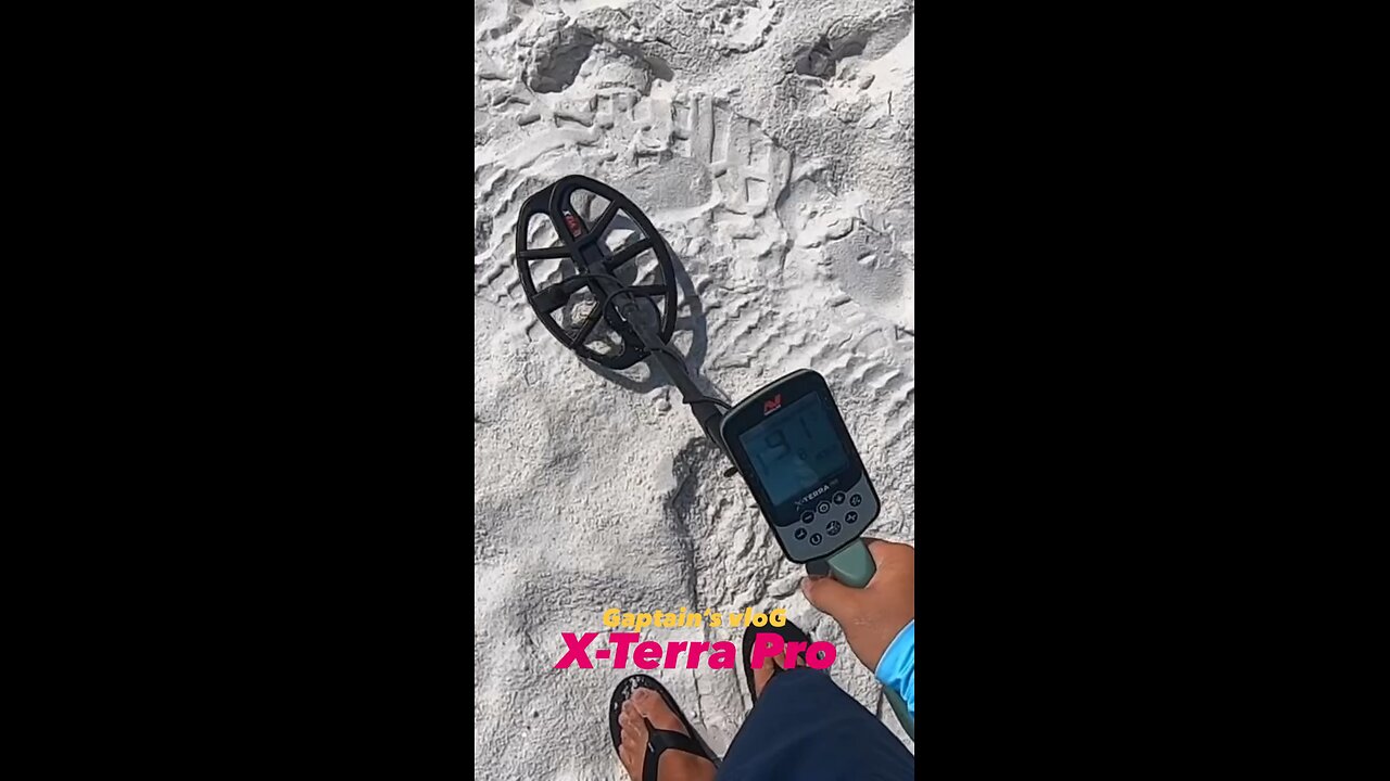 Pensacola Beach Metal Detecting. Minelab X-Terra Pro