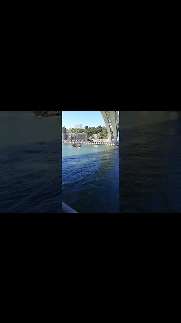 mirando ponte de arrabida