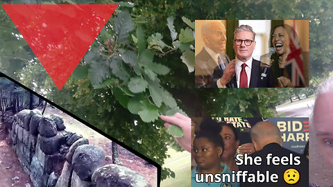 Your video friend. Not all Jews, but... Keir Starmer. Biden haunts and racist ignores. Wall mystery
