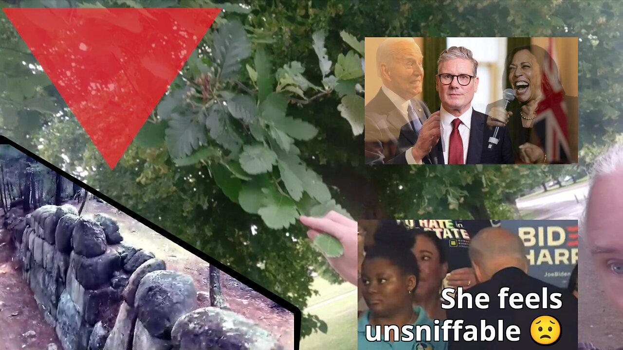 Your video friend. Not all Jews, but... Keir Starmer. Biden haunts and racist ignores. Wall mystery