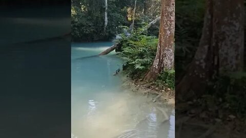 Kuang Si Waterfall Luang Prabang Laos 🇱🇦 #laos #Waterfall #shorts #luangprabang