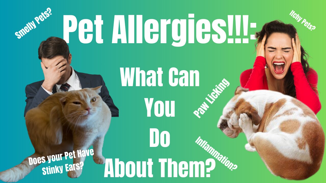 Does Your Pet Have Allergies, or Sensitivities?: Here's What YOU Can Do About It!