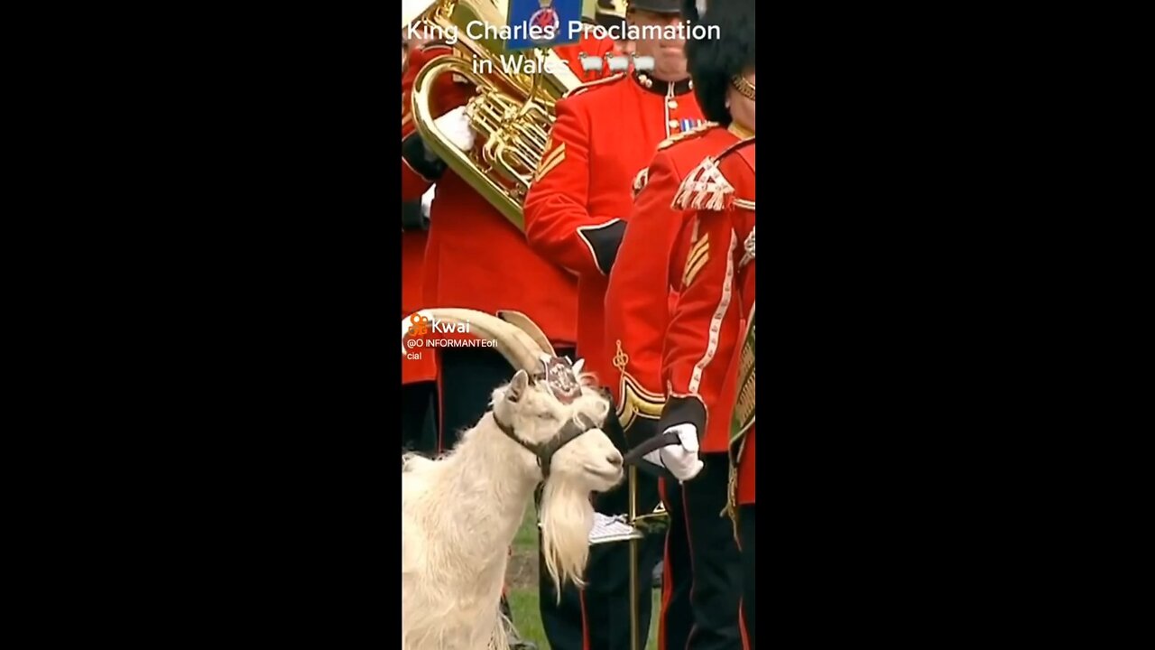 Funeral of the Queen - Satanic symbolism - The rise of the goat?