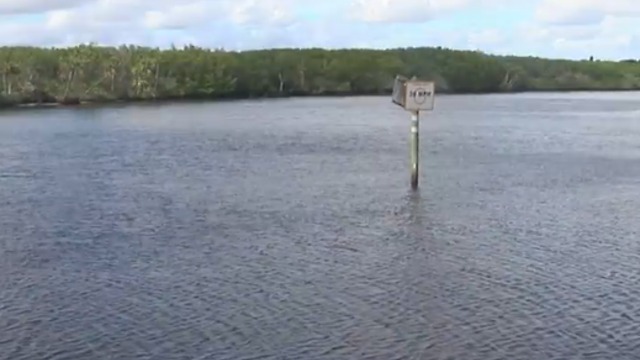 Scientists search for source of pollution on the Treasure Coast