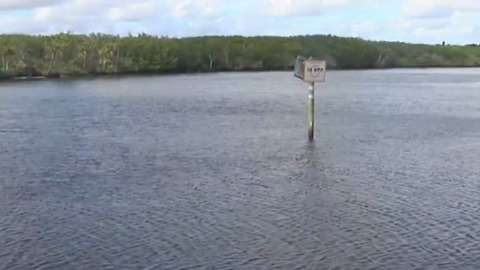 Scientists search for source of pollution on the Treasure Coast