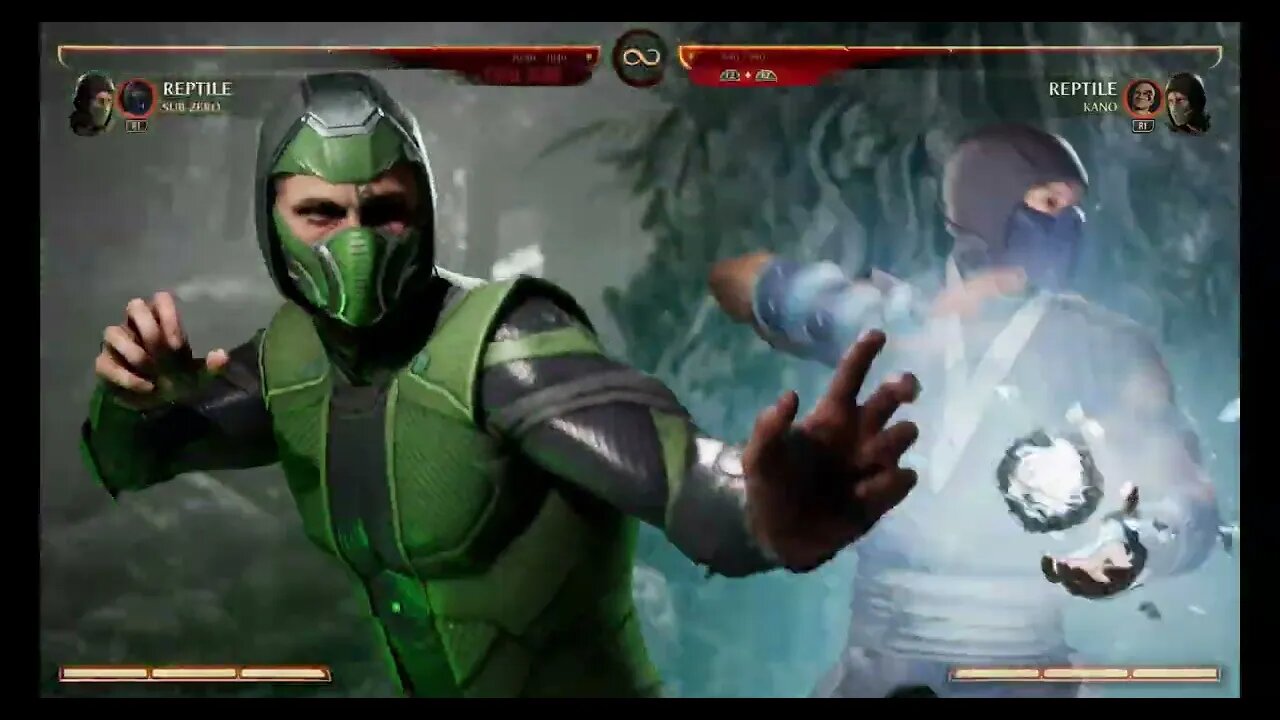 Mortal Kombat 1 2023 Reptile & Sub Zero Kameo Fatal Blow