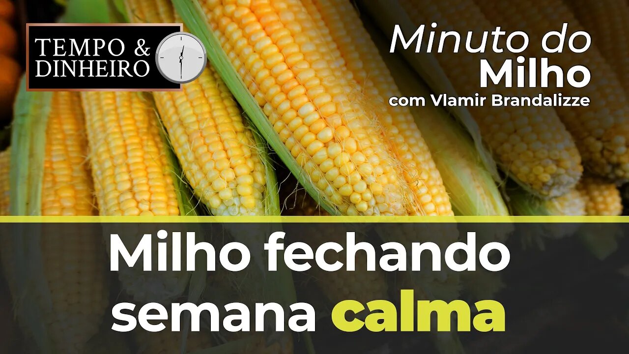 Milho fechando semana calma