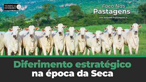 Foco nas Pastagens hoje com o diferimento estratégico na época da Seca