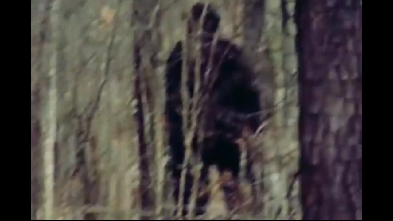 World Bigfoot Radio #80 ~ East Texas Bigfoot Research/ Mary Bolin