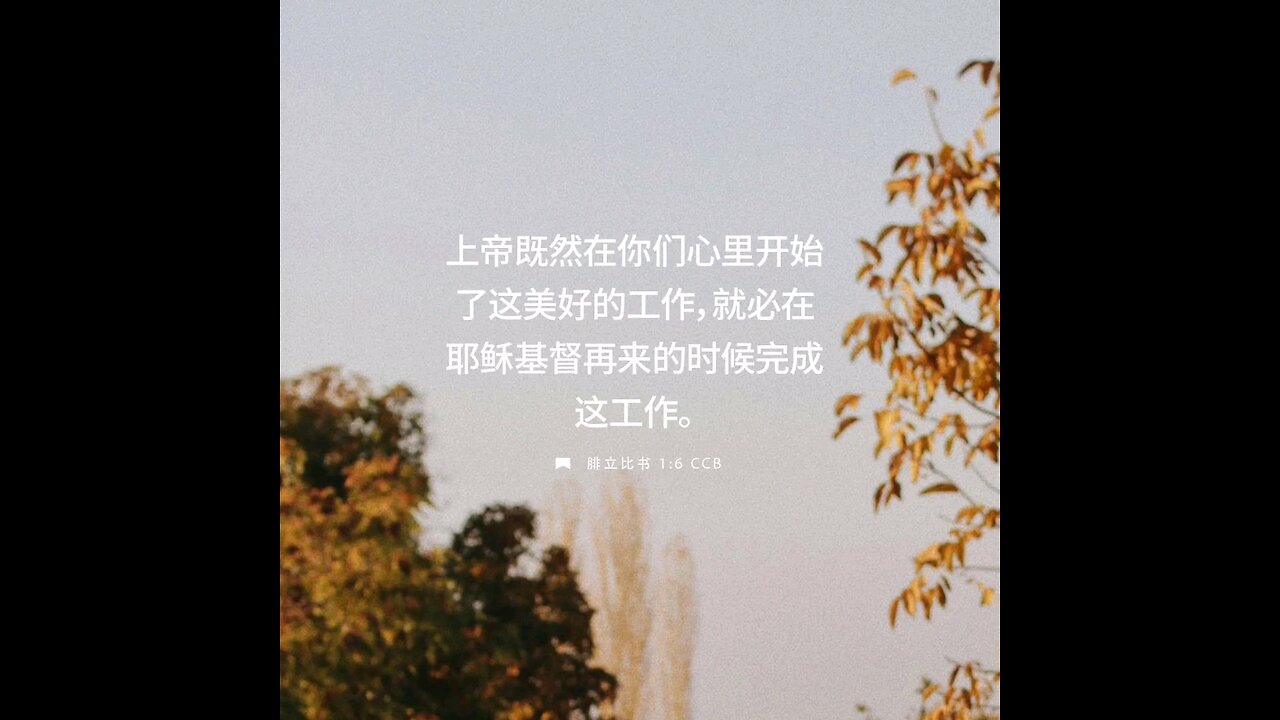 分享今日经文。 愿主与我们同在。阿门