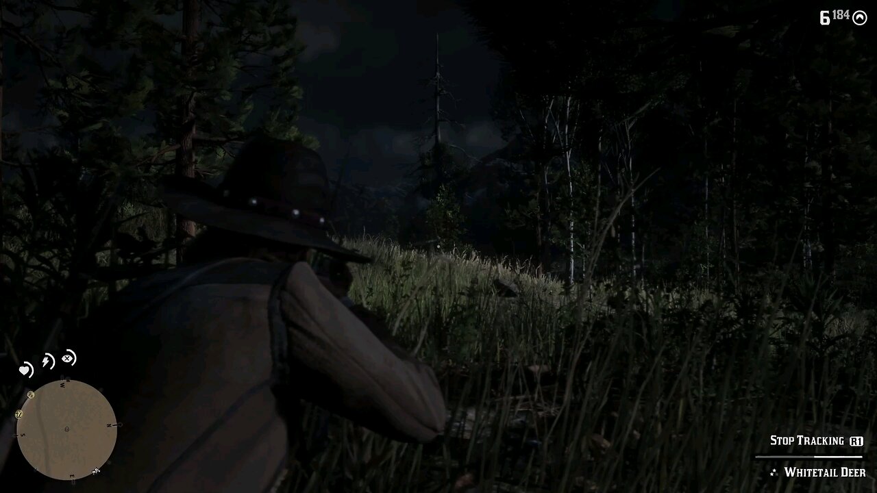 Hunting 20 - Red Dead Redemption 2