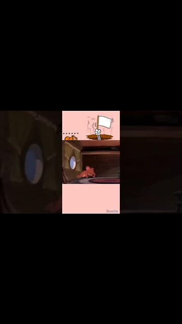 what does PDF sees when he looks out his window 🤔