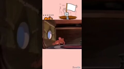 what does PDF sees when he looks out his window 🤔