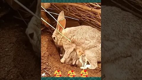 Я ЭТИ СМАЙЛИКИ НА ВИДЕО РОТ ЕБАЛ ВООБЩЕ ВЕЗДЕ И ВСЕГДА КУШАТЬ НЕ МОГУ КАК ВИЖУ СУКА