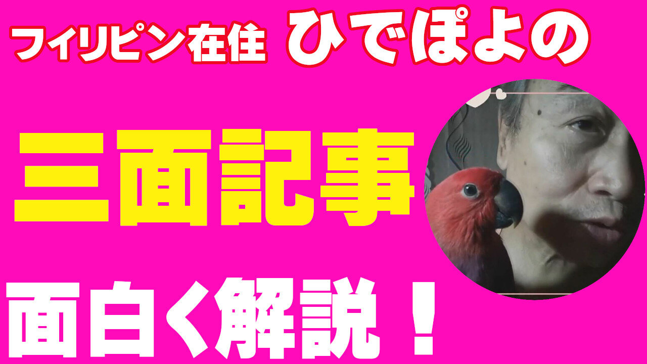 １０００万円訴訟問題の自民党立候補＝生稲晃子氏👩