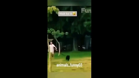 #funnyreels2024 #funnyvideoscomedy #funnyvideosclip #funnyvideosdownload #funnyvideosdaily #today
