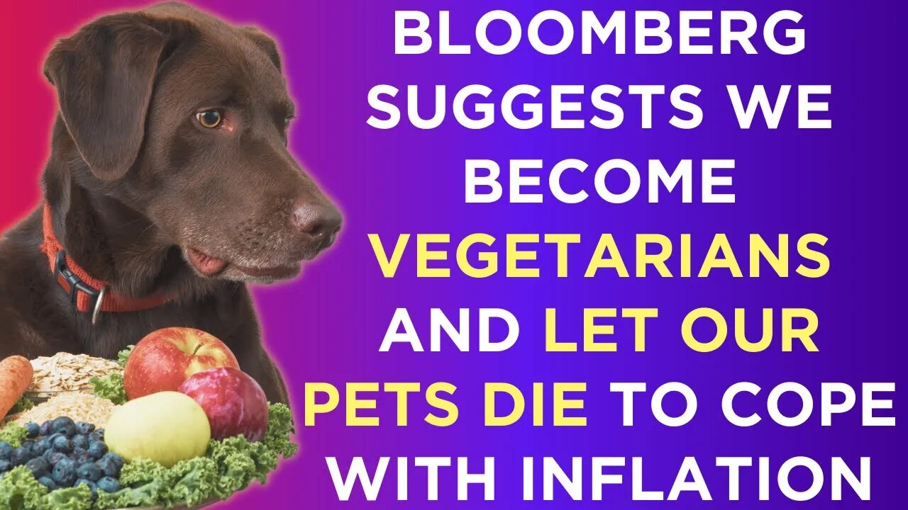 Bloomberg suggests we all become vegetarians and let our pets die to cope with inflation.