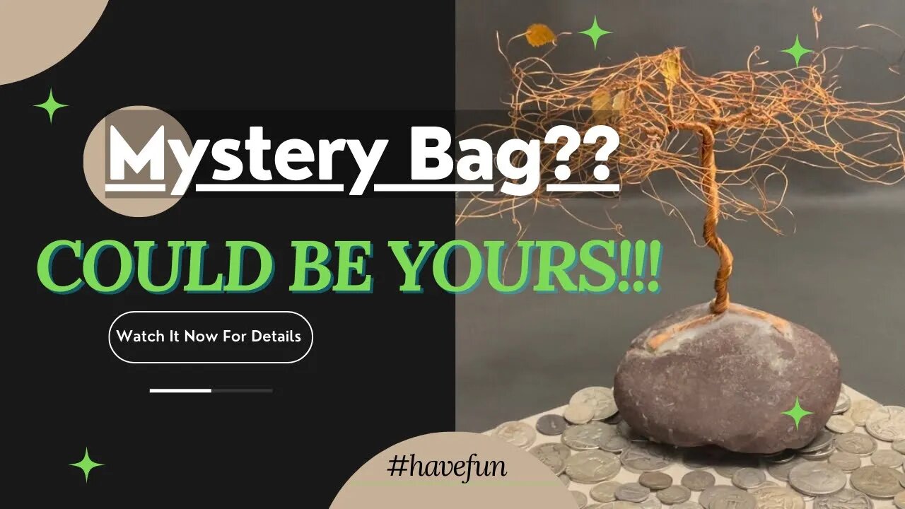 😱🥰 GIVEAWAY IS CLOSED!!! This mystery bag COULD BE YOURS- Watch to find out how! #mystery #havefun #coin