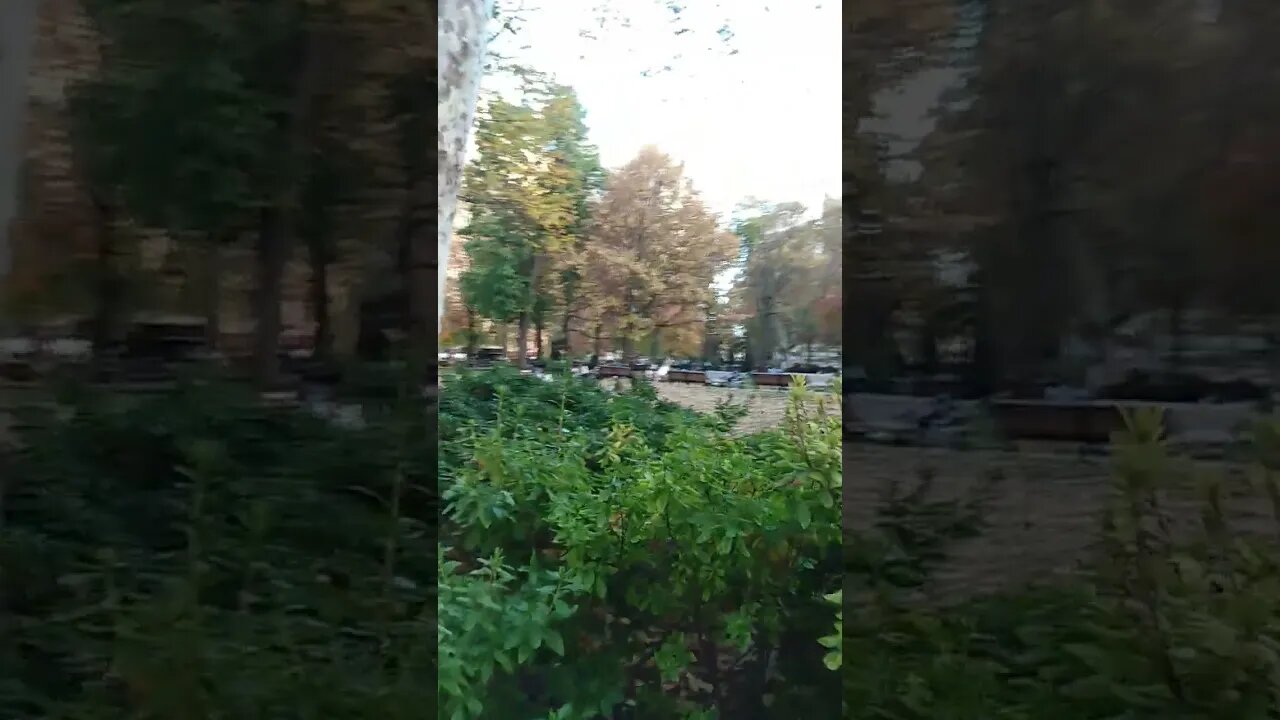 Crowded Rittenhouse Square w mild temperatures and World Series in Houston 🥎