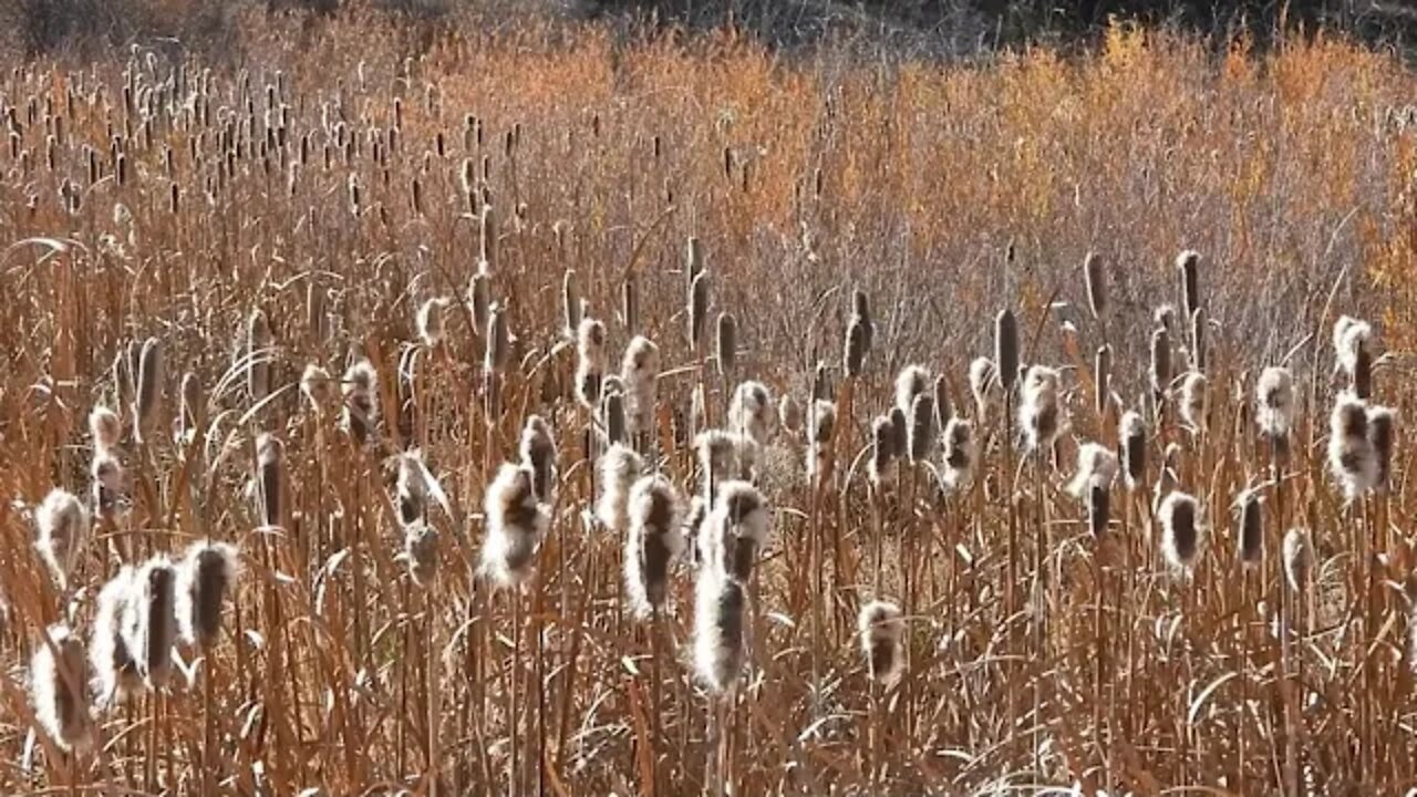 2640 Days Left For The Planet