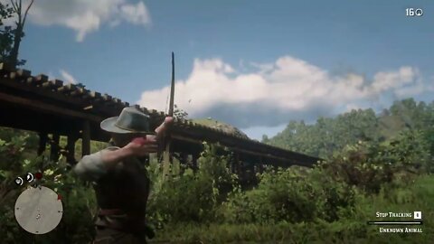 RED DEAD REDEMPTION II pc gameplay part 11