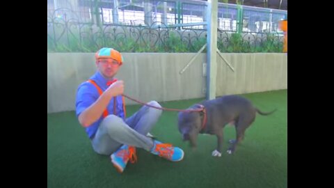 Blippi Learns About Animals For Kids At The Animal Shelter Educational Video