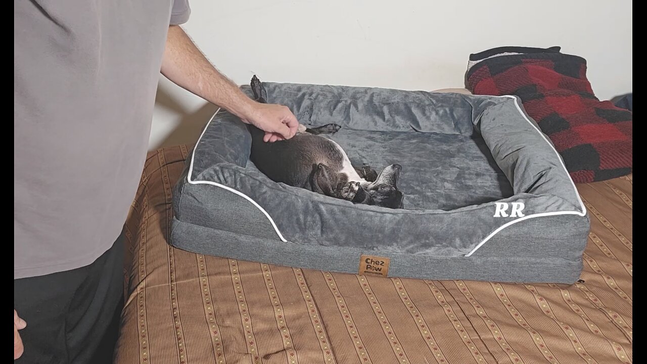 Chez Paw Orthopedic Dog Bed 36 x 27 x 7, Nice Feel