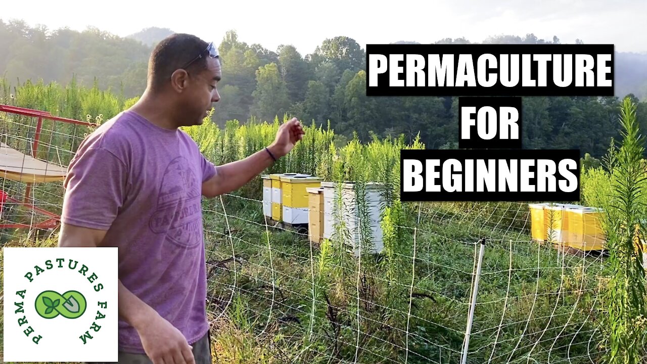 Permaculture For Beginners