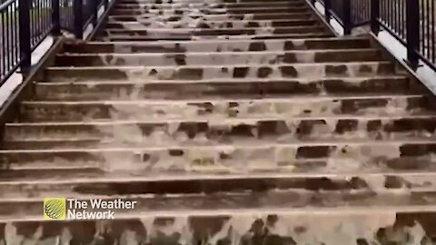 Rainwater cascades down New Brunswick steps