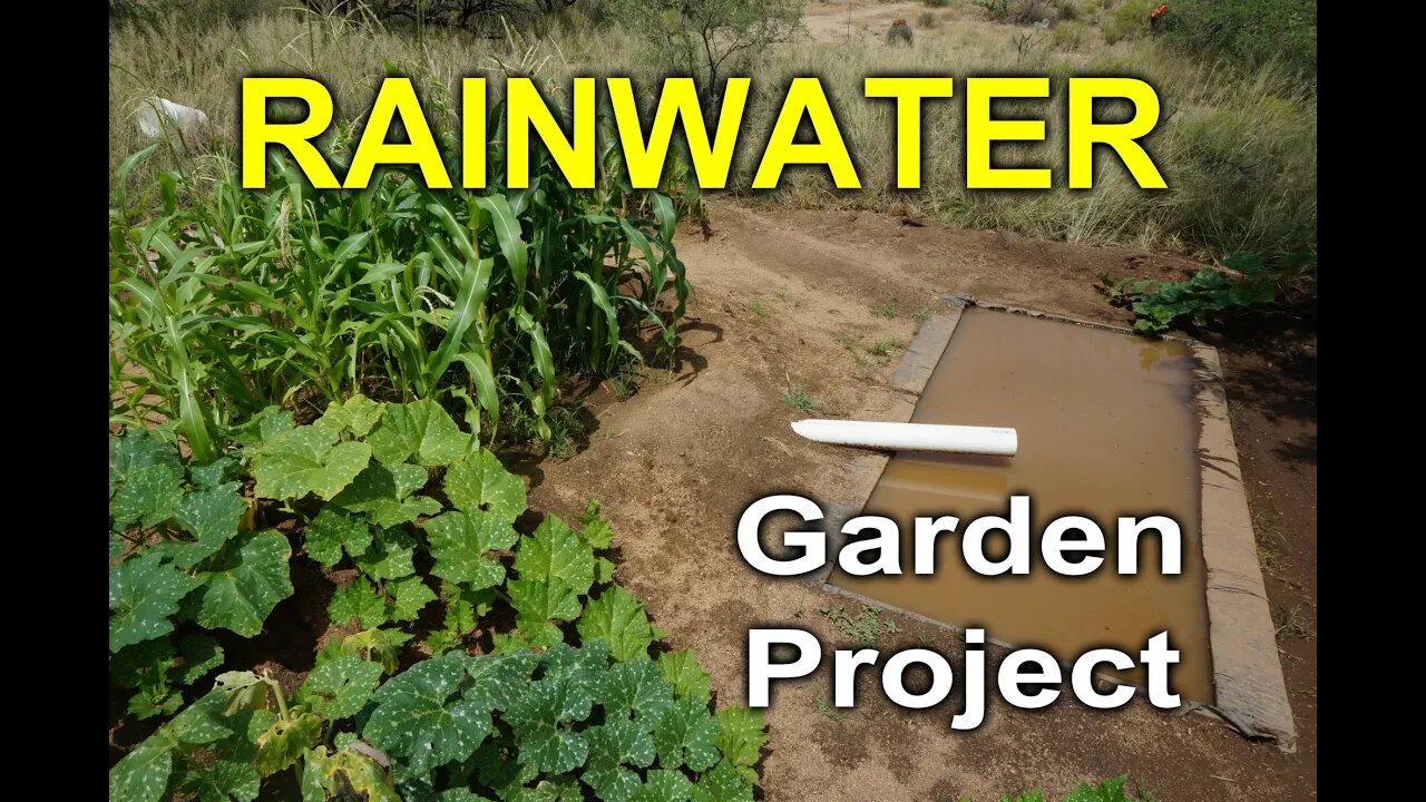 Rainwater Gardening Project - Desert Permaculture 2014