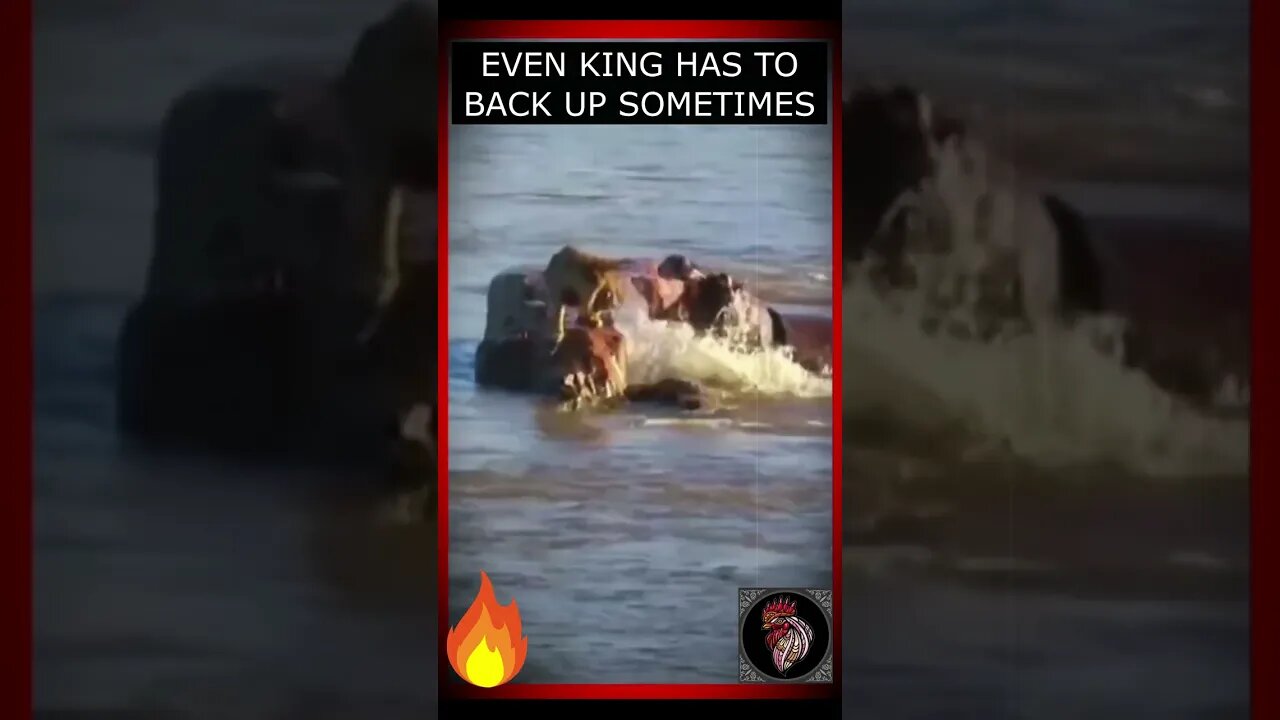 Even KING has to back up sometimes